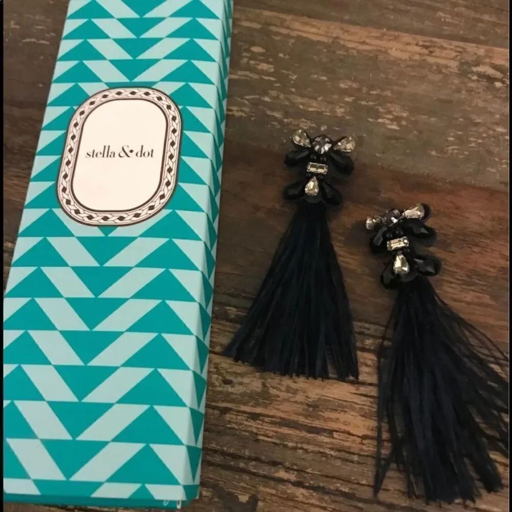 Stella & Dot Tassel Earrings in box